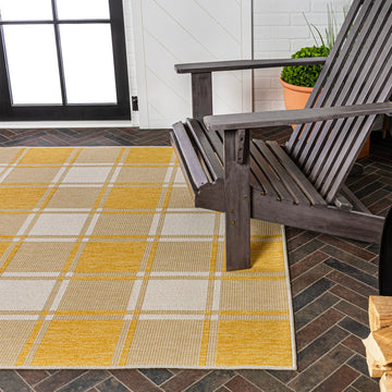 Sabine Traditional Farmhouse Bold Gingham Area Rug